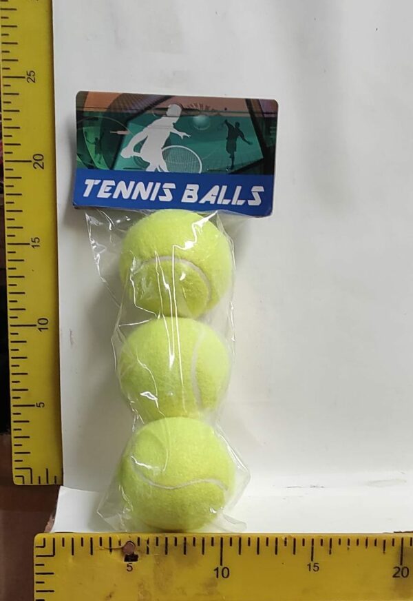 PELOTAS DE TENIS X 3     3-11-24        4800.00 $