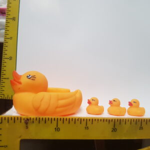 CHIFLE PATITO CON 3HIJOS 3391 8-5-24                2900.00 $