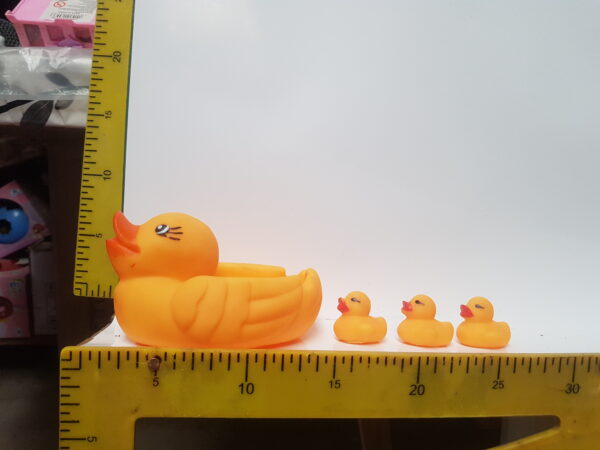 CHIFLE PATITO CON 3HIJOS 3391 8-5-24                2900.00 $