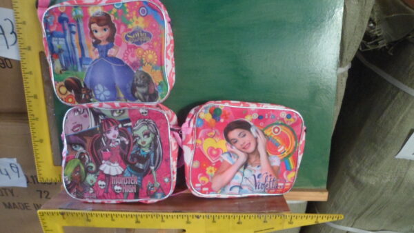 CARTERITA PRINCESAS BRILLO 28 X 19      8-12-24         1950.00 $