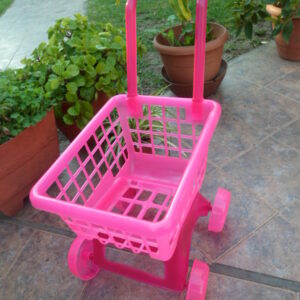 CARRITO SUPERMERCADO  DUBI       6300.00 $                       30-11-24