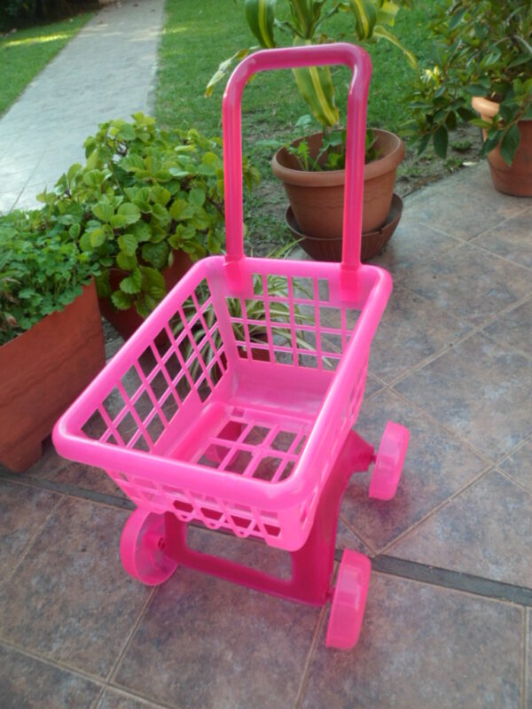CARRITO SUPERMERCADO  DUBI       6300.00 $                       30-11-24