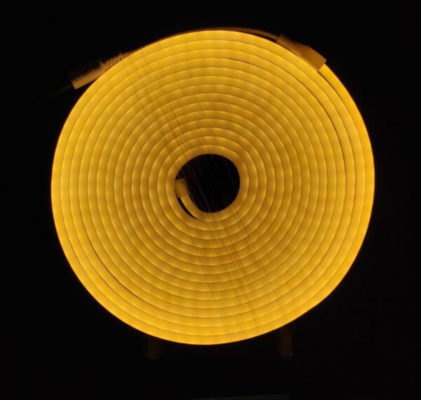 LUZ MANGUERA CUADR.NEON BCA 1230    10900,00 $
