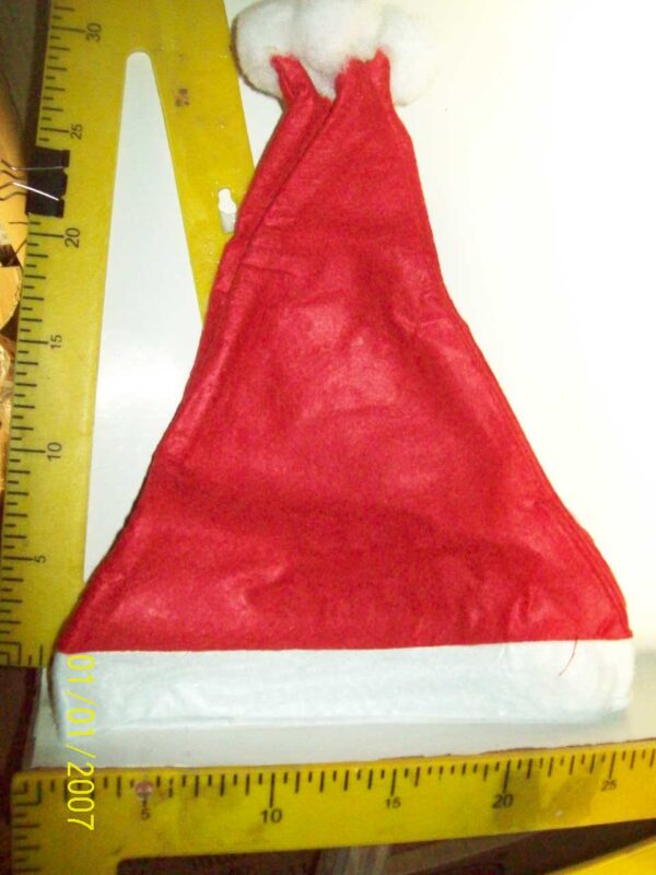 GORRO DE NAVIDAD LISO   17-11-24      490.00 $