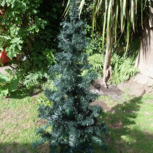 ARBOL 1 MT EUROTREE CANADIAN  NACIONAL   24435.00 $     17-11-24