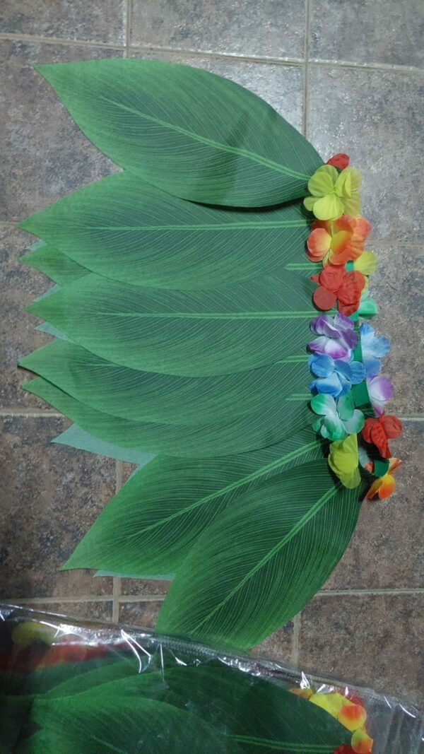POLLERA JAWAINA HOJAS  COTILLON    29-12-24        4500.00 $