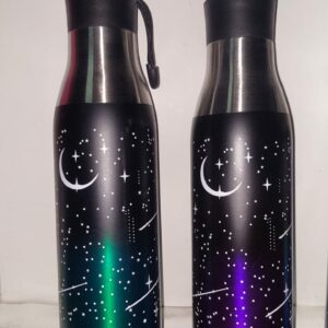 BOTELLA ACERO 600 CC  29-12-24          10900.00 $