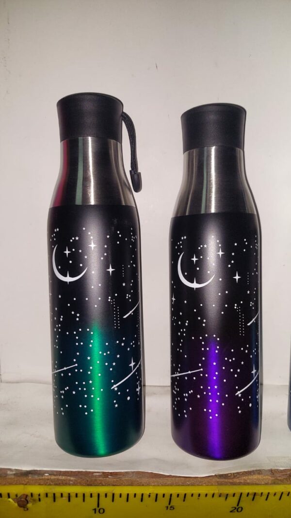 BOTELLA ACERO 600 CC  29-12-24          10900.00 $