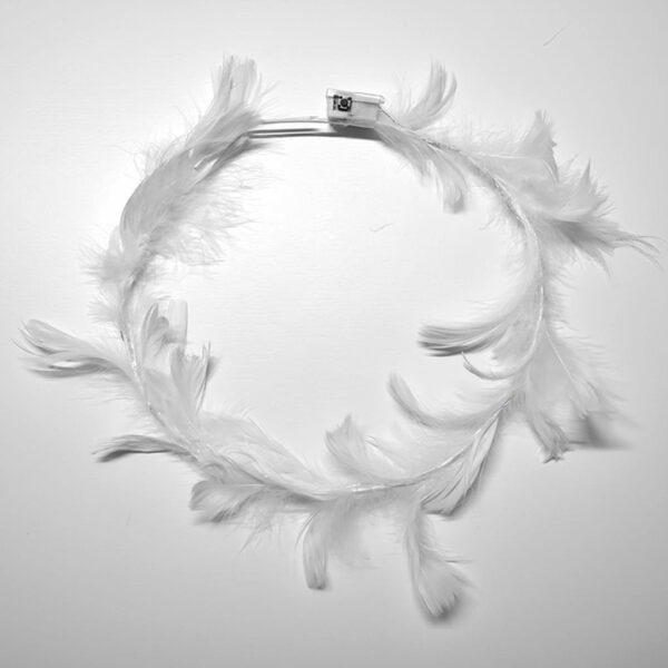 VINCHA PLUMAS C/ LUZ   1100.00 $     2-9-25