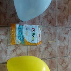 GLOBOS CBX  9PULG X 50     2275.00 $     12-10-25