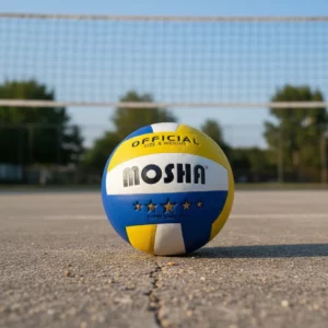 PELOTA DE VOLEY PROFECIONAL   MOSHA    11-8-26      10900.00 $